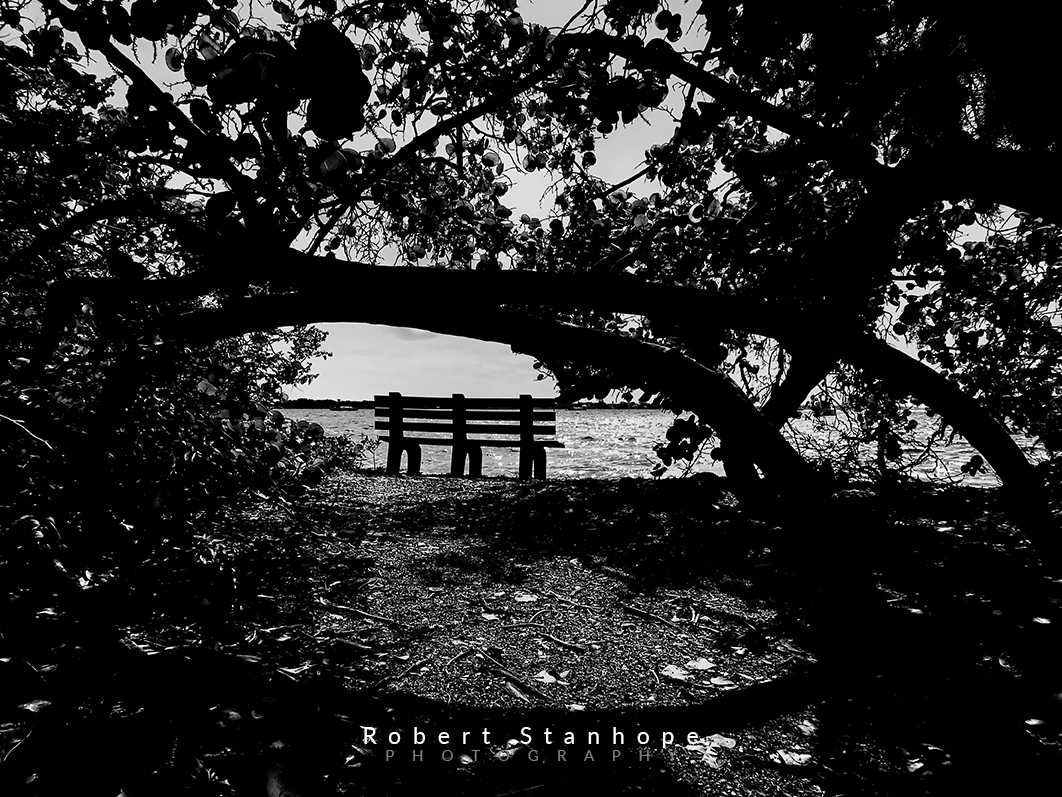 Black and white bench photograph.
