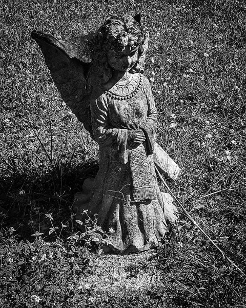 Black & white photo of an Angel taken by Robert Stanhope