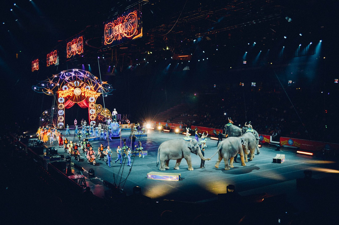 Circus photo